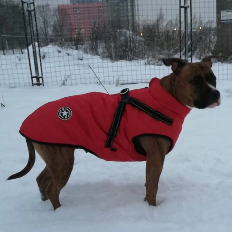 Best Dog Winter Coat Clothes For Labrador Waterproof Big Dog