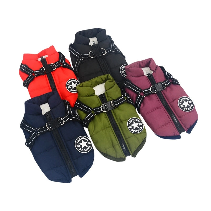 Best Dog Winter Coat Clothes For Labrador Waterproof Big Dog