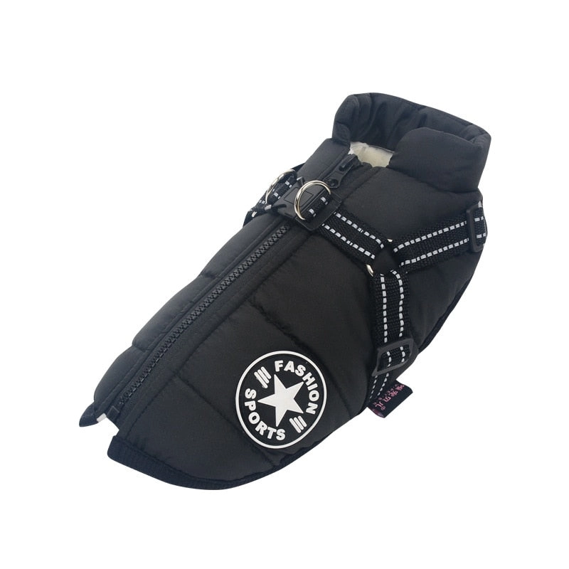 Best Dog Winter Coat Clothes For Labrador Waterproof Big Dog