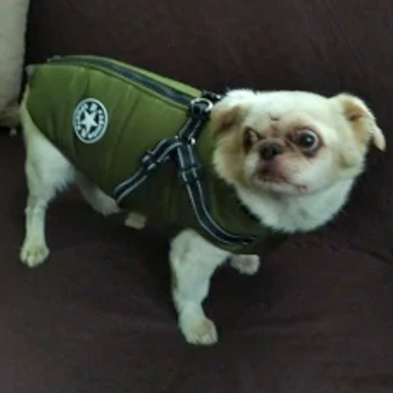 Best Dog Winter Coat Clothes For Labrador Waterproof Big Dog