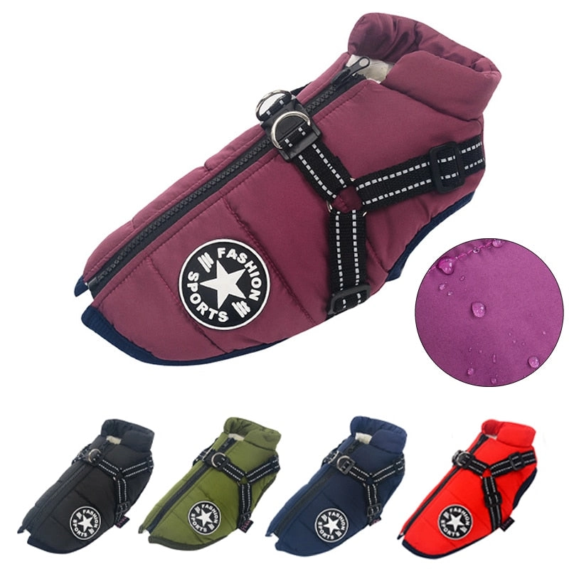 Best Dog Winter Coat Clothes For Labrador Waterproof Big Dog