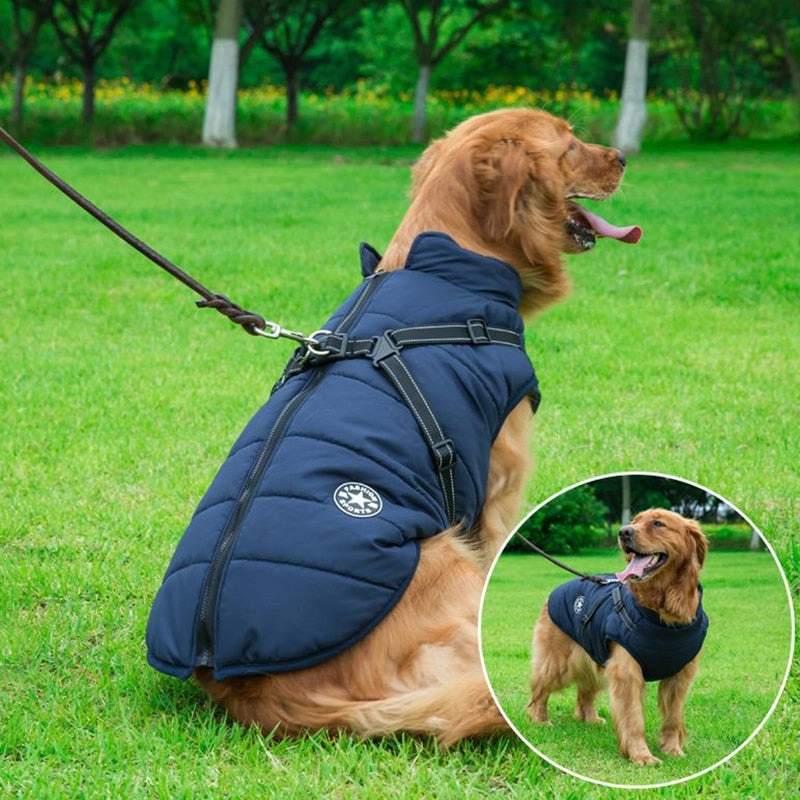 Best Dog Winter Coat Clothes For Labrador Waterproof Big Dog