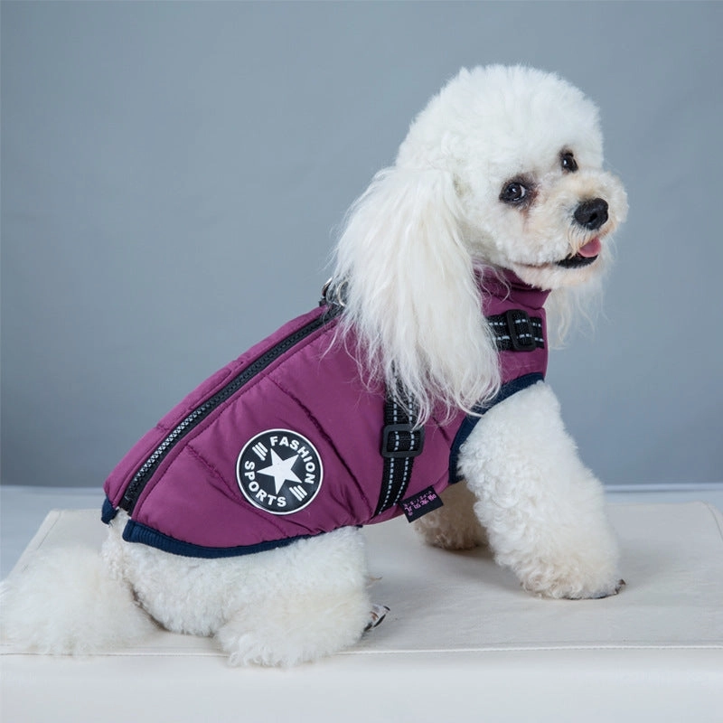 Best Dog Winter Coat Clothes For Labrador Waterproof Big Dog
