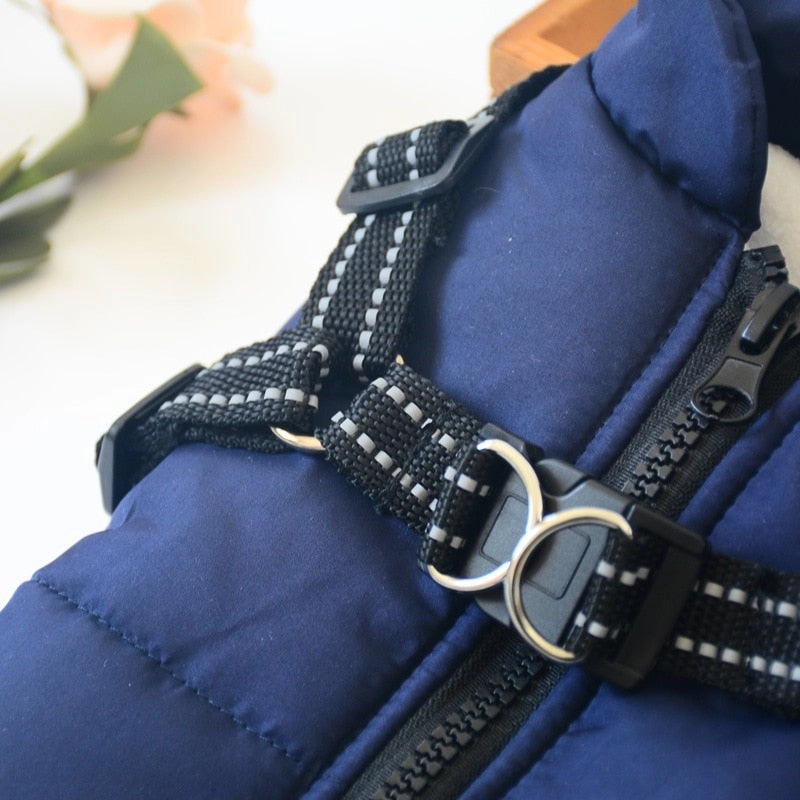 Best Dog Winter Coat Clothes For Labrador Waterproof Big Dog