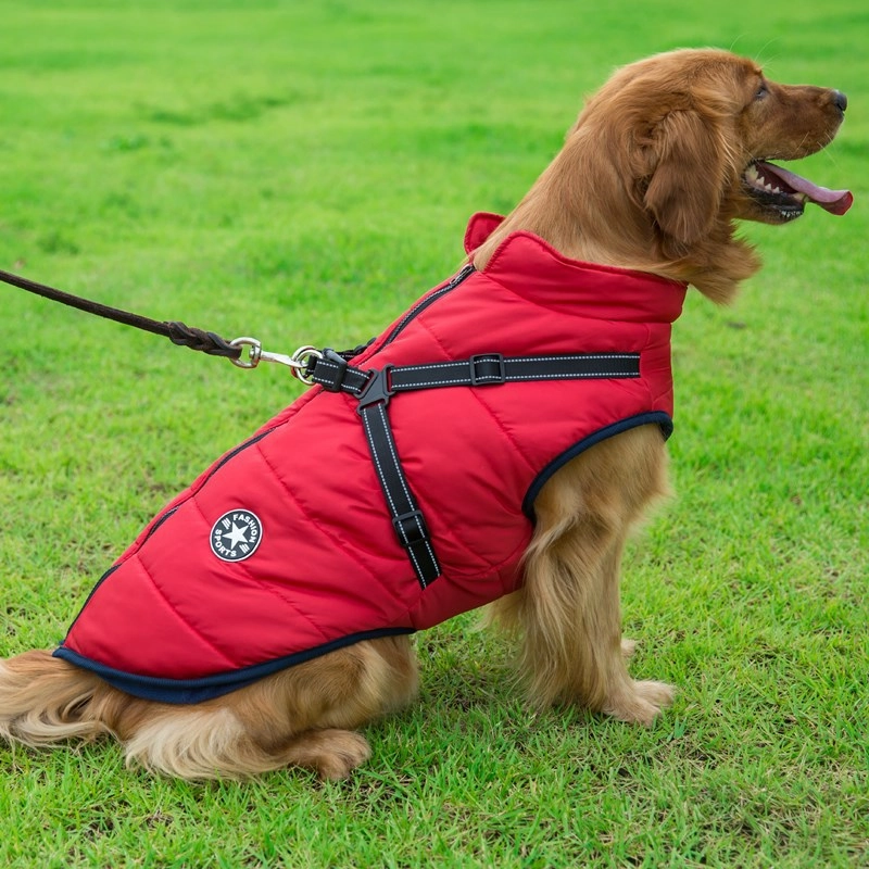 Best Dog Winter Coat Clothes For Labrador Waterproof Big Dog