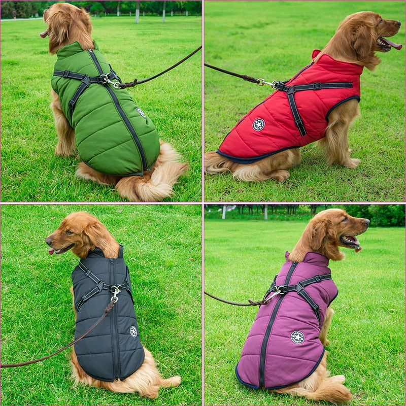 Best Dog Winter Coat Clothes For Labrador Waterproof Big Dog