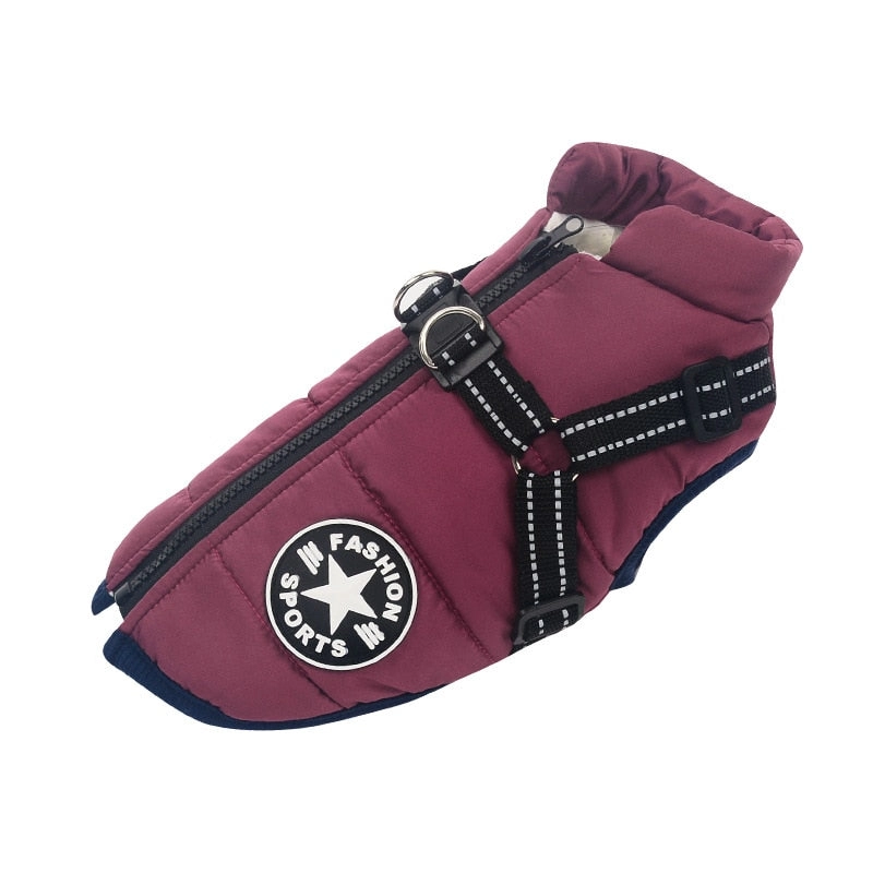 Best Dog Winter Coat Clothes For Labrador Waterproof Big Dog