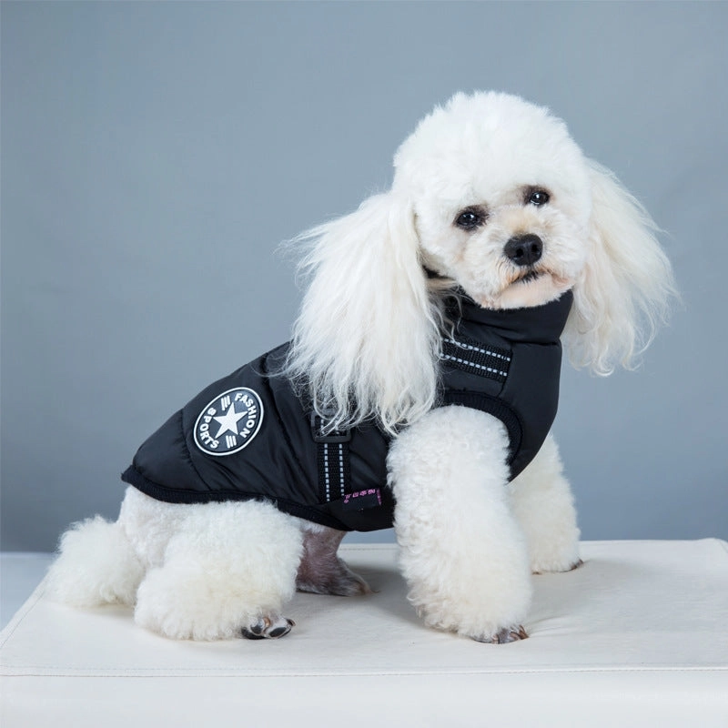 Best Dog Winter Coat Clothes For Labrador Waterproof Big Dog