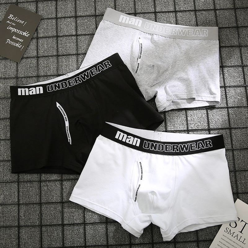 Cotton underpants male pure men panties shorts C4B