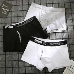 Cotton underpants male pure men panties shorts C4B
