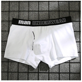 Cotton underpants male pure men panties shorts C4B