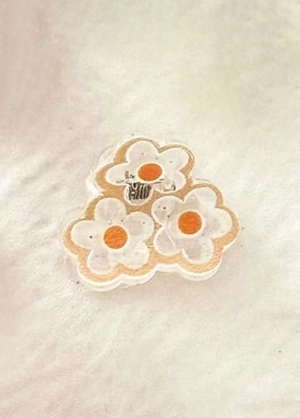 Cutesy Transparent Mini Clips