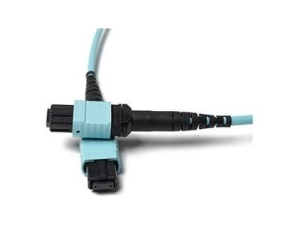 Fiber Cables Direct - Patch cable - MTP/MPO multi-mode (F) to MTP/MPO multi-mode (F) - 3 m - fiber optic - 50 / 125 micron - FCDUS362V10503