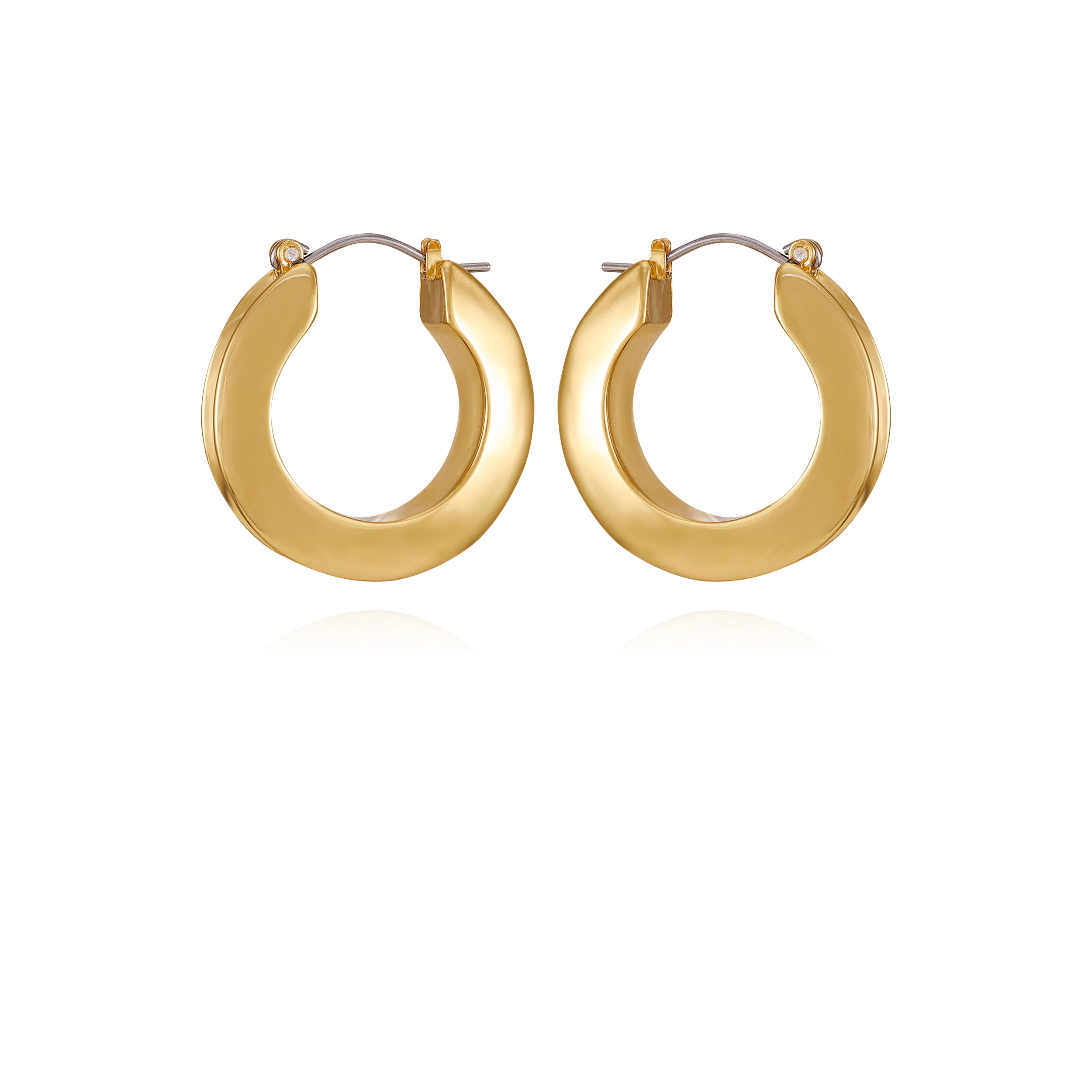 Goldtone Hoop Earrings