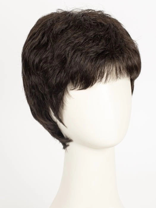 Jamie | Synthetic Wig (Basic Cap)