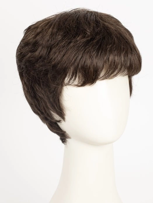 Jamie | Synthetic Wig (Basic Cap)