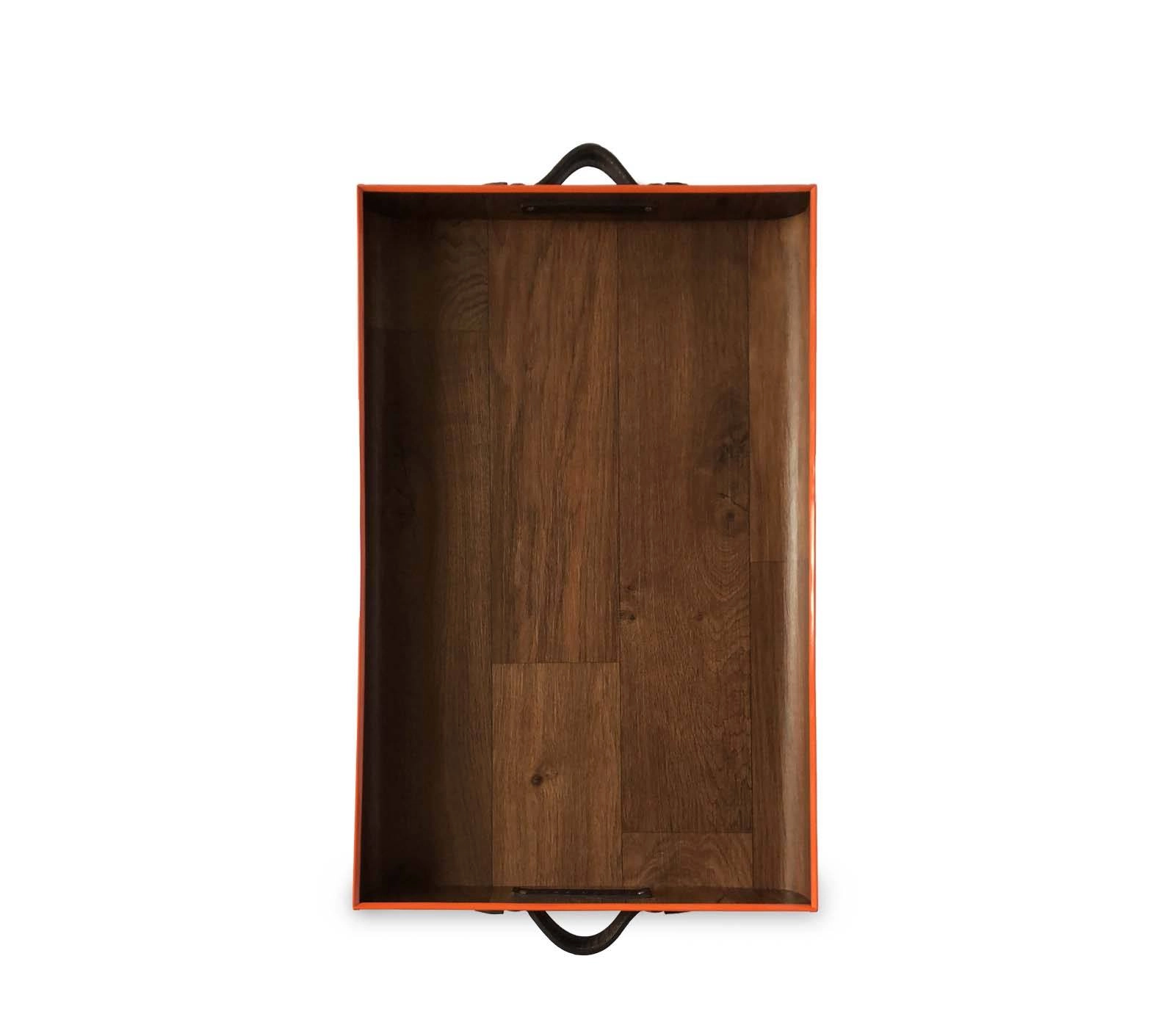 LARGE F TRAY