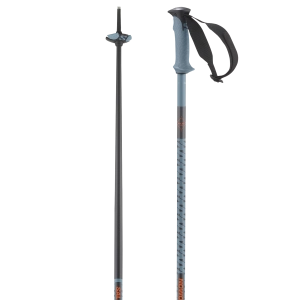 POLAR PRO SKI POLES
