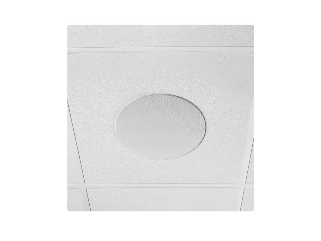 Shure Microflex MXN5W-C - IP speaker - for PA system - PoE, PoE-Plus - 2-way MXN5W-C TB-V-SS