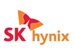 SK Hynix - DDR3 - module - 2 GB - 1066 MHz / PC3-8528 - non-ECC HMT125U6BFR8C-G7 N0 AA