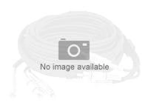 Strategic Sourcing - Lightning cable - Lightning female to 24 pin USB-C male ADP-LGHTN-UBC-4P