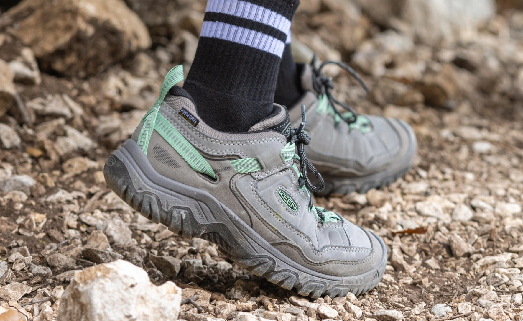Women's Targhee IV Waterproof Hiking Shoe  |  Bison/Beaujolais